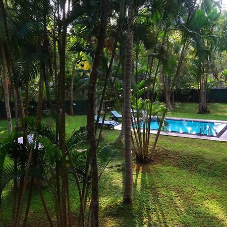 Chandra Villa Ayurveda Resort Bentota Buitenkant foto